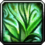 Wild Growth