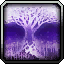 Explore Crystalsong Forest