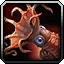 Fire Ammonite Angler