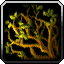 Quagmirran kills (Slave Pens)