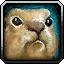 Pet Reward: Rooter